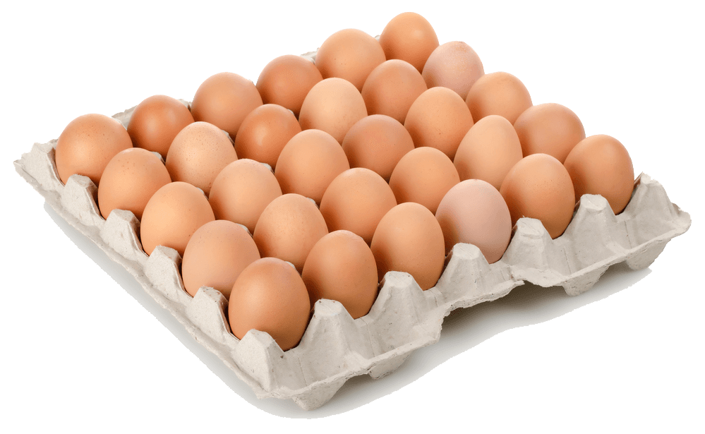 Fresh Brown Egg