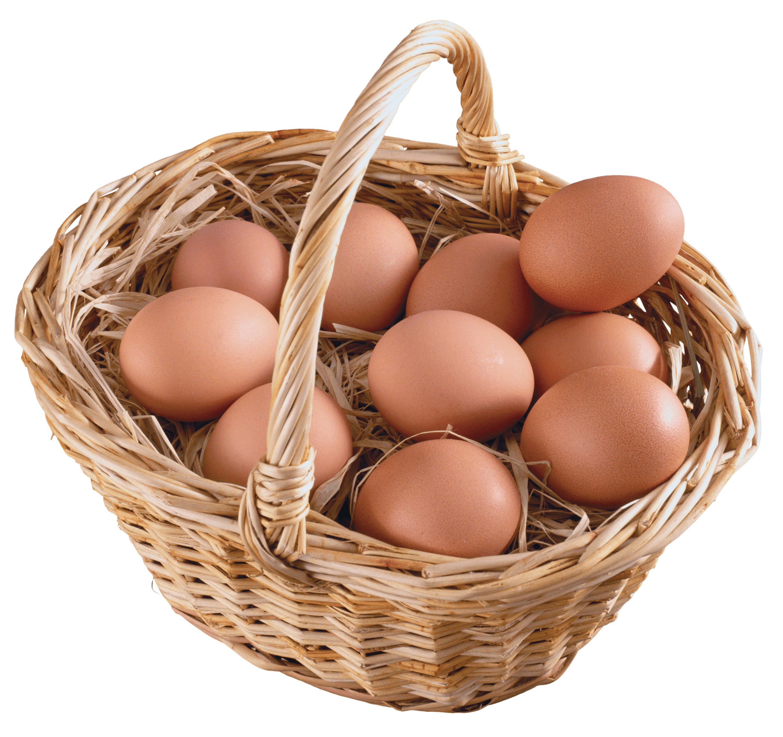 Eggs in a nest