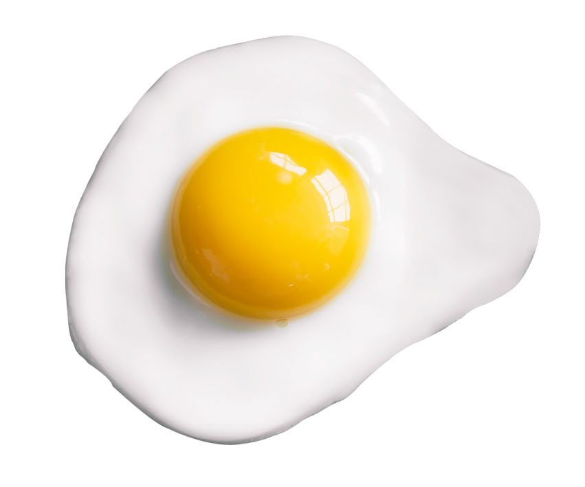 Egg Yolk